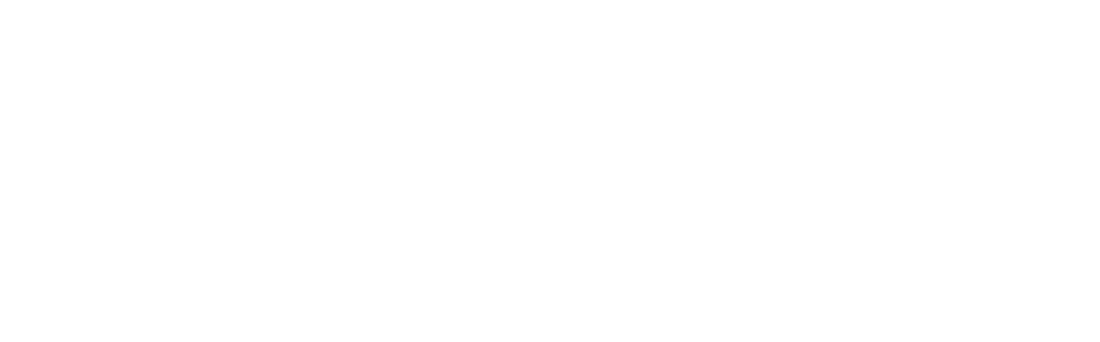 Brandon Hall Group Institute